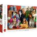 Puzzle Katzen