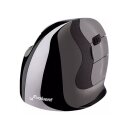 VMDSW EVOLUENT D Maus 6Tasten kabellos Small Wireless