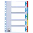 Register - blanko, Karton, A4, 5 Blatt, weiß, farbige Taben