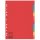 Esselte Pendarec-Kartonregister Blanko, A4, Pendarec-Karton, 10 Blatt, farbig