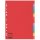 Esselte Pendarec-Kartonregister Blanko, A4, Pendarec-Karton, 12 Blatt, farbig