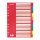 Leitz Kartonregister Blanko, A4, Karton, 10 Blatt, Blisterverpackung, farbig
