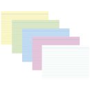 Karteikarten - DIN A6, liniert, farbig sortiert, 100 Karten