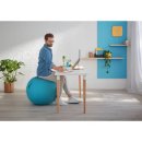 Ergo Cosy Sitzball für aktives Sitzen Ø 65cm blau