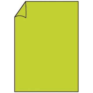 Coloretti Briefbogen - A4, 80g, 10 Blatt, hellgrün