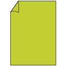 Coloretti Briefbogen - A4, 80g, 10 Blatt, hellgr&uuml;n