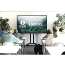 Display Touch Evolve 65" schwarz