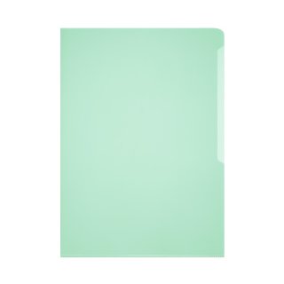 DURABLE Sichthülle, A4 hoch, Hartfolie, glänzend, 0,15 mm, grün