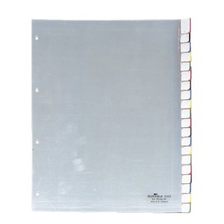 Durable Register - Hartfolie, blanko, transparent, A4 Überbreite, 20 Blatt