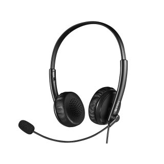 SANDBERG 2IN1 OFFICE HEADSET USB-A+3.5mm