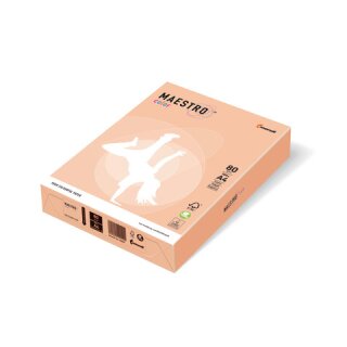 Kopierpapier A4 160g 250Bl lachs Pastell