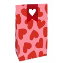 Geschenktüte Liebe 2ST rosa/rot 18 x 12 x 6 cm
