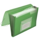 Fächermappe - 13 Taschen, 250 Blatt, PP, transluzent grün