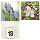Kalenderrückwand "Blumen" - 14,5 x 29,5 cm, 2-fach sortiert