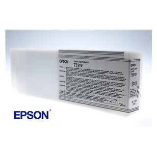 EPSON STYLUS PRO 11880 SP-11880 700ml LIGHT LIGHT BLA, Kapazität: 700 ml