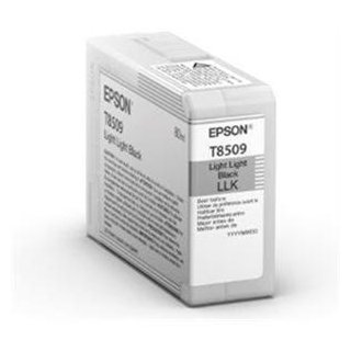 EPSON TINTE FÜR SURECOLOR P800 LIGHT LIGHT BLACK T8509 80ML, Kapazität: 80ML