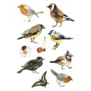 3351 Sticker DECOR Aquarell Vögel