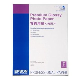 EPSON PREMIUM GLOSSY PHOTO PAPER A2 250g/m2 (25 BLATT), Kapazit&auml;t: 25 Bl.
