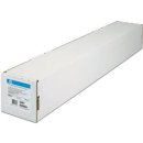 HP PROFESSIONAL PHOTOPAPER 24&acute; 300GR. Rolle A1...