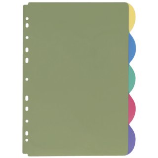 Register - blanko, PP, A4, 5 Blatt, farbig